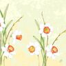 Duni Serviette Klassik Daffodil Joy 40x40 cm 4lagig 1/4 Falz 50 Stück