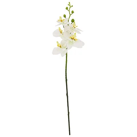 Orchidee, weiß-gelb, 65 cm