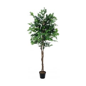 Europalms Ficus Tree Multi-Trunk, artificial plant, 210cm TILBUD NU