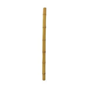 Europalms Bamboo tube, Ø=12cm, 200cm TILBUD NU bambusrør bambus rør