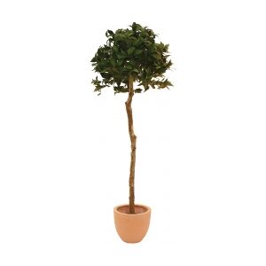 Europalms Laurel ball tree, artificial plant, 180cm TILBUD NU bold træ