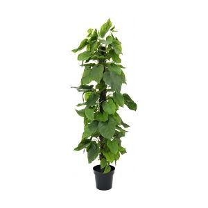 Europalms Pothos plant, artificial, 180cm TILBUD NU plante