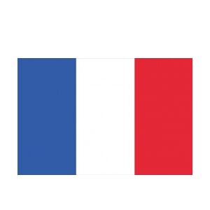 Europalms Flag, France, 600x360cm TILBUD NU frankrig