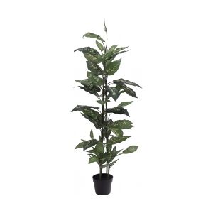 Europalms Dieffenbachia, artificial, 120cm TILBUD NU