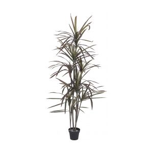 Europalms Dracaena, green-red, artificial, 180cm TILBUD NU grøn rød