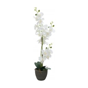 Europalms Orchid, artificial plant, white, 80cm TILBUD NU