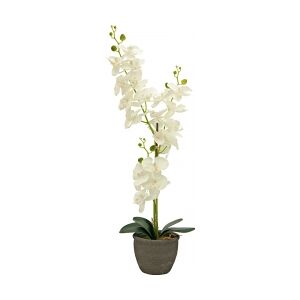 Europalms Orchid, artificial plant, cream, 80cm TILBUD NU