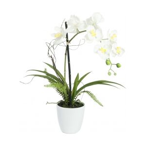 Europalms Orchid arrangement 1, artificial TILBUD NU