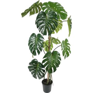 Götessons Monstera, H150 Cm