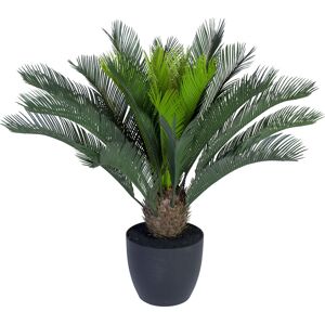 Götessons Cycas Palme, H70 Cm, Inkl. Sort Potte