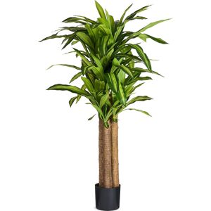 4EverGreen Dracena Plante Inkl. Potte, 155 Cm