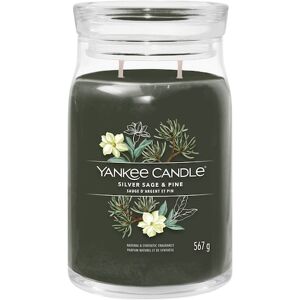 Yankee Candle Rumdufte Votivlys i glas Silver Sage + Pine