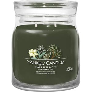 Yankee Candle Rumdufte Votivlys i glas Silver Sage + Pine