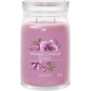 Yankee Candle Rumdufte Duftende stearinlys Wild Orchid