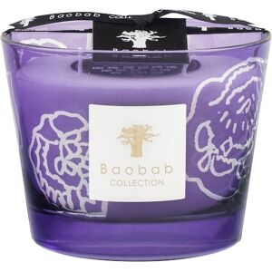 Baobab Home Duftende stearinlys Stearinlys Roses Dark