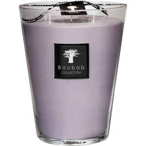 Baobab Collection All Seasons Scented Candle White Rhino Max 24