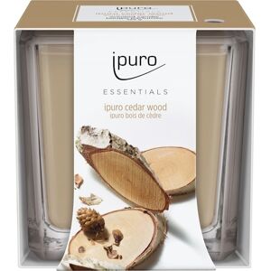 Ipuro Rumdufte Essentials by  Cedar Wood Candle