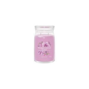 Yankee Candle Wild Orchid, Cylinder, Lilla, Orkide, 90 t, 1 stk