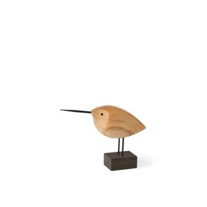 Beak Bird Awake Snipe Teak - Warm Nordic