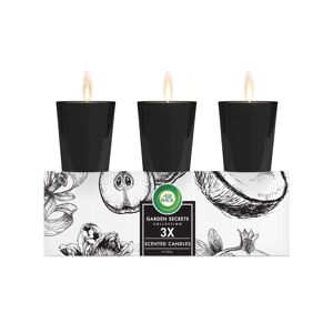 Air Wick Garden Secrets Scented Candles Gift Pack Mixed Fragrances 220 g 3 stk.