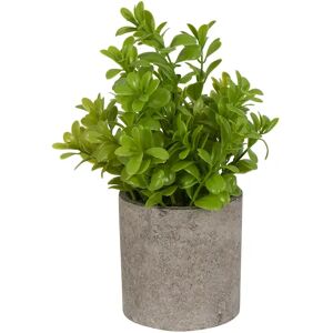 Home-tex Kunstig plante - Højde 22 cm - Grøn kunstig potteplante