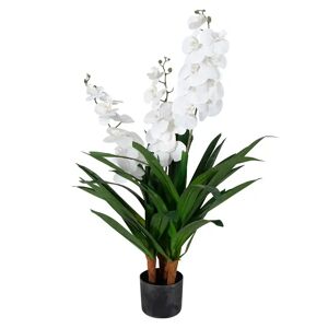Home-tex Kunstig Orkidé - 100 cm - 3-grenet - Hvide blomster - Kunstig blomst i sort potte