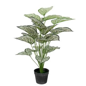 Home-tex Kunstigt plante 80 cm - Flot Calathea  med hvide og grønne blade