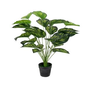 Home-tex Kunstig plante 70 cm - Calathera med store flotte grønne blade