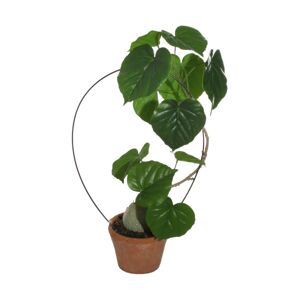 Shishi Kunstig Dioscoreaceae Bulbifera plante - 50 cm