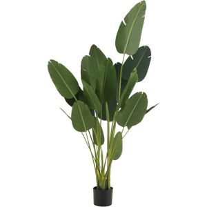 J-Line Kunstig Strelitzia - 245 cm