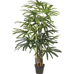 kaiserkraft Palmera Raphis, real touch, en maceta de plástico, altura 1550 mm