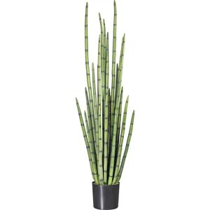 kaiserkraft Sansevieria cylindrica, en maceta de plástico, altura 1400 mm