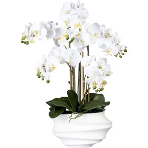 kaiserkraft Phalaenopsis, real touch, altura 750 mm, blanca, jarrón de plástico blanco