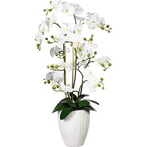 kaiserkraft Orquídea Phalaenopsis, real touch, en jarrón de cerámica, altura aprox. 1100 mm, blanco