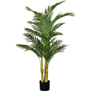 kaiserkraft Palma Areca, en maceta de plástico con tierra, altura aprox. 1500 mm