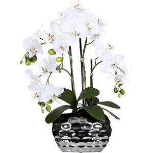 kaiserkraft Phalaenopsis en florero ovalado, altura 550 mm, flores blancas