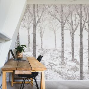 Acte Deco Papel pintado panoramico de bosque de abedules gris 525x250cm
