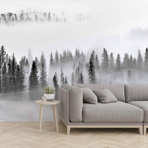 Hexoa Papel pintado panorámico bosque en la niebla. 364x270cm