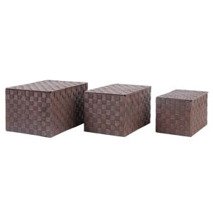 LOLAhome Set de 3 cajas de polipropileno multiusos trenzadas marrón