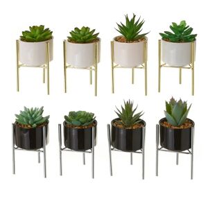 LOLAhome Set de 8 plantas artificiales cactus de plástico con maceta de porcelana de Ø 8x18 cm