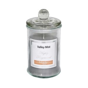 LOLAhome Vela perfumada gris aroma Valley Mist de parafina con tarro de cristal de Ø 9,5x17 cm