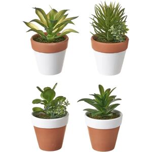 LOLAhome Set de 4 plantas artificiales cactus de plástico con macetas de terracota de Ø 9x14 cm