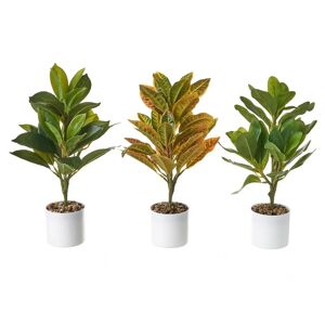 LOLAhome Set de 3 plantas artificiales de hojas con maceta blanca de plástico de 17x14x32 cm