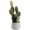 Jolipa Cactus + maceta verde/cemento alt. 50 cm