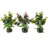 LOLAhome Set de 3 plantas artificiales con maceta de tarro transparente de cristal de Ø 12x17 cm