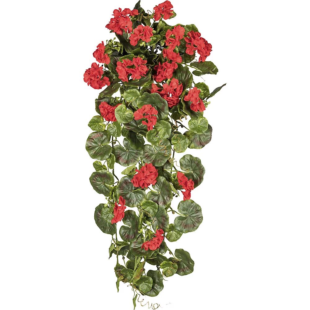 kaiserkraft Geranios colgantes, altura 800 mm, resistente a los rayos UV, flores rojas
