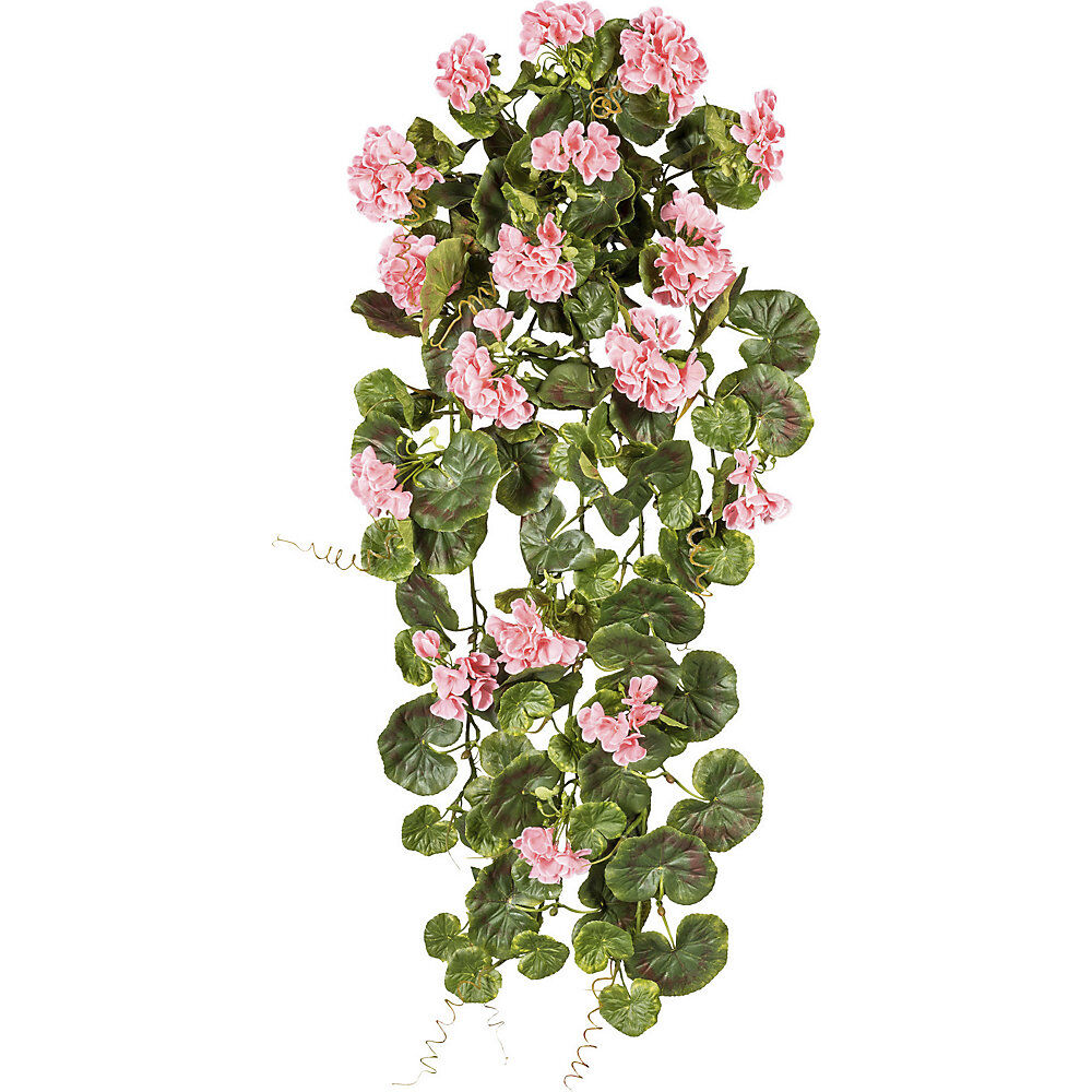 kaiserkraft Geranios colgantes, altura 800 mm, resistente a los rayos UV, flores rosas