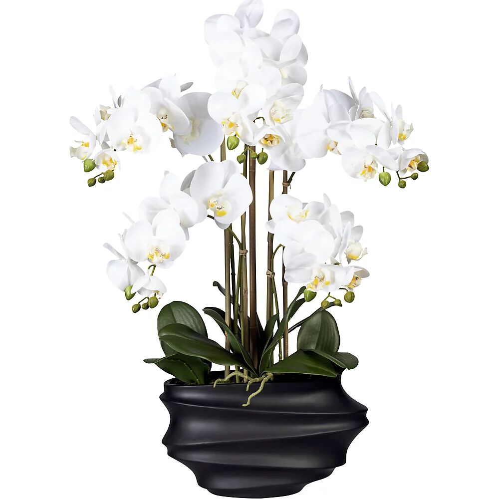 kaiserkraft Phalaenopsis, real touch, altura 750 mm, blanca, jarrón de plástico negro