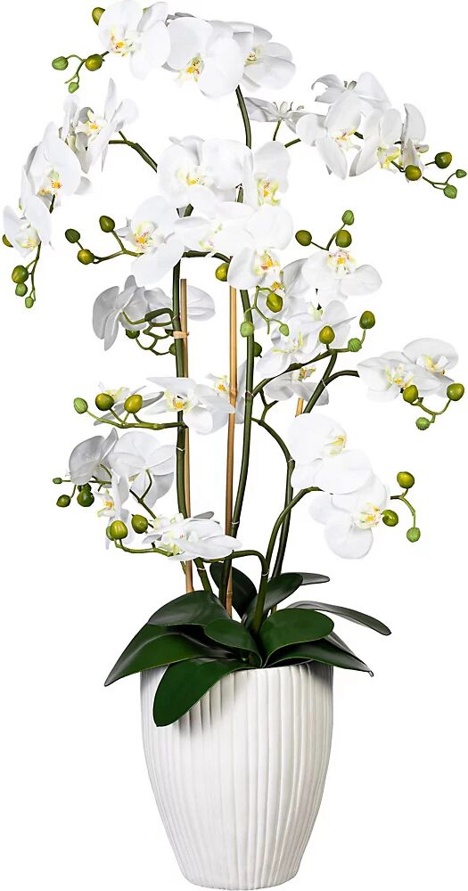 kaiserkraft Orquídea Phalaenopsis, real touch, en jarrón de cerámica, altura aprox. 1100 mm, blanco