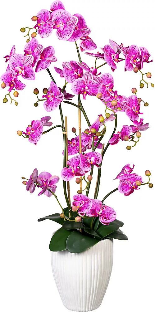 kaiserkraft Orquídea Phalaenopsis, real touch, en jarrón de cerámica, altura aprox. 1100 mm, rosa lila